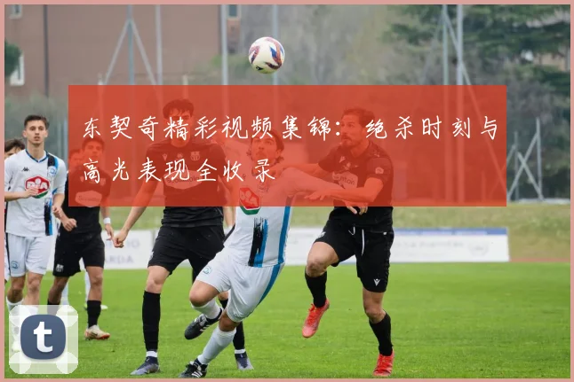 东契奇精彩视频集锦：绝杀时刻与高光表现全收录