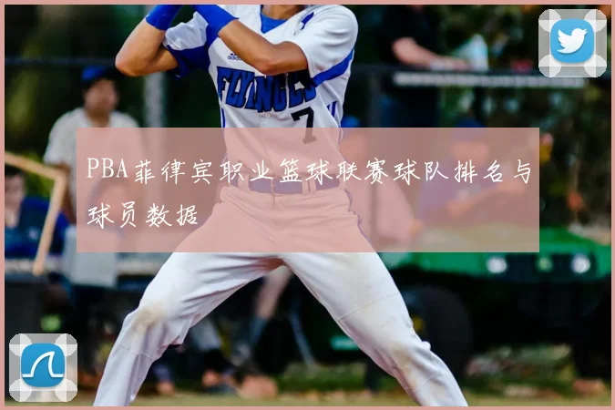 PBA菲律宾职业篮球联赛球队排名与球员数据